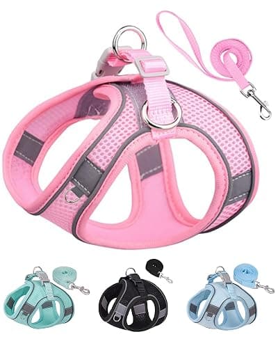 Solmoony Dog Harness for Small Medium Dogs No Pull, Puppy Harness and Leash Set, Puppy Harness for Small Dogs, Step in Harness for Small Dogs, Small Dog Harness, mesh Dog Harness. (Pink, XS) - Image 1