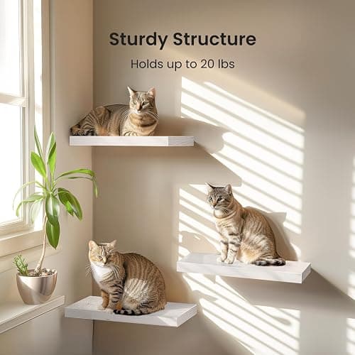 AMADA HOMEFURNISHING Floating Shelves, Wall Shelves for Bathroom/Living Room/Bedroom/Kitchen Decor, White Shelves with Invisible Brackets Set of 3 - AMFS08 thumbnail 5