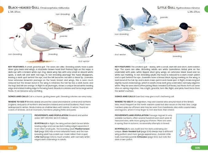 RSPB Pocket Guide to British Birds thumbnail 7