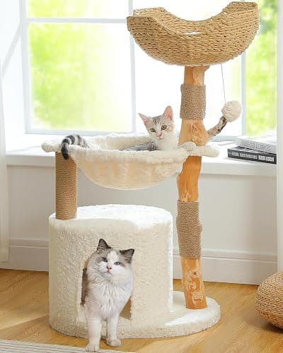MUTTROS Modern Cat Tree for Large Cats, Wood Cat Tower for Indoor Cats, Real Branch Luxury Cat Furniture with Super Large Cozy Condo and Hammock & Scratching Post, Top Basket, White - Image 1
