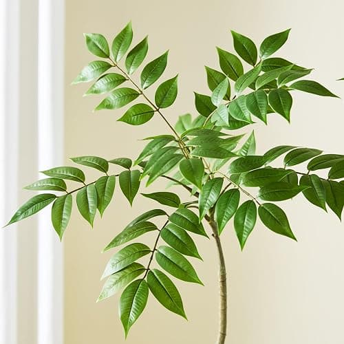 TXABL Autumn Sumac Artificial Fall Tree Artificial Trees with Planter for Home Bedroom Office Indoor Living Room Decoration Artificial Sumac Tree (Green, 6FT) thumbnail 6