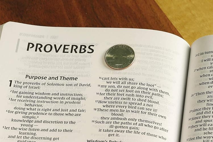 NIV, Value Thinline Bible, Large Print, Leathersoft, Pink, Comfort Print thumbnail 5