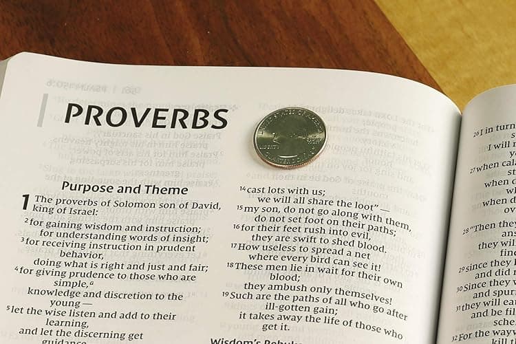 NIV, Value Thinline Bible, Large Print, Leathersoft, Pink, Comfort Print thumbnail 5