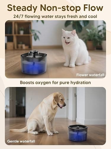 Automatic Cat Feeder and Water Fountain, 5L/20 Cups Timed Cat Dry Food Dispenser, 10s Meal Call, 20 Portions 6 Meals Per Day, 2L Cats Fountains for Drinking with Filter, Pet Feeder for Dog White thumbnail 7