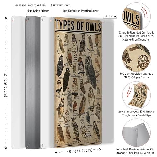 Homely Accents Types Of Owls Vintage Metal Signs, Educational Poster Tin Signs for Home Bathroom Classroom Cafe Decor Farmhouse Wall Art Gift for Owl Lovers Kids, 8x12 Inch thumbnail 3