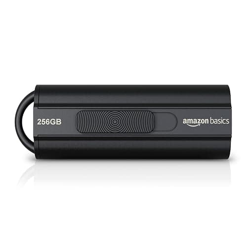 Amazon Basics 256 GB Clé USB 3.1, vitesse de lecture maximale de 130 Mo/s, Noir - Image 1
