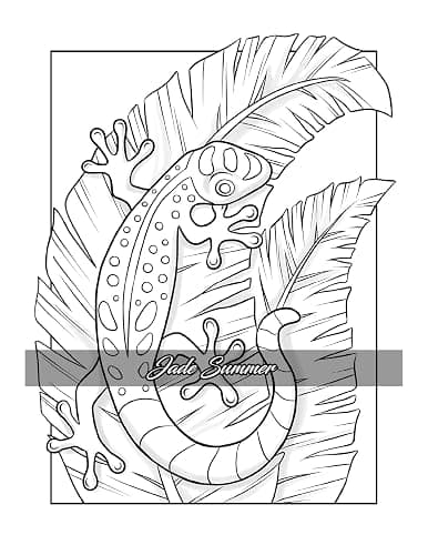 Minimalist Art: Adult Coloring Book for Women and Teens with Easy Boho Designs for Stress Relief and Relaxation (Easy Coloring Books) thumbnail 14