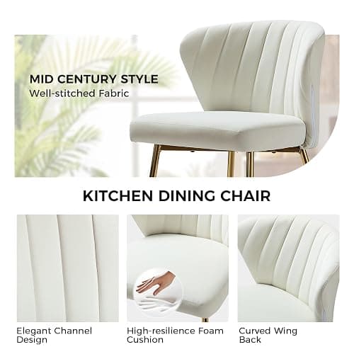 FABRICATION HAUS Velvet Dining Chair Upholstered Seat Modern Vanity Kitchen Accent Occasional Chair with Metal Legs for Dining Room & Living Room (1, IVORY) thumbnail 4