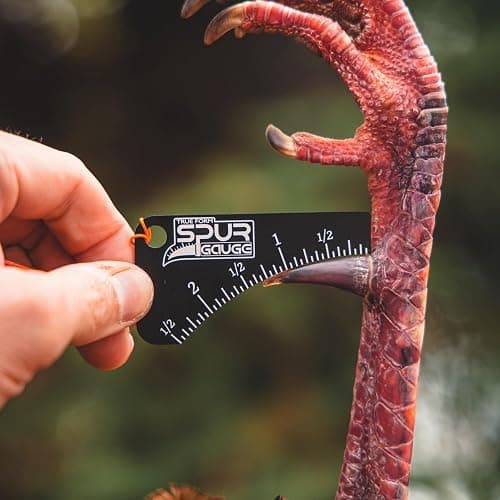 KLUK Custom Calls Assassin Series Turkey Mouth Call Bundle with Spur Gauge thumbnail 6