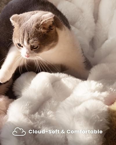 blunique Ultra Soft Cozy Faux Fur Throw Blanket, Fuzzy Plush Thick Bubble Blanket, Oversize Luxury Fluffy Blanket for Couch, Bed, and Living Room, 60x80 Inches, Cream White thumbnail 2