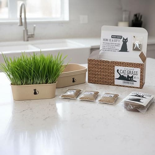 Cat Grass Grow Kit — 4-Batch Indoor Growing Set with Containers, Soil Disks & Seeds | Supports Digestion & Hairball Control | Ready to Grow, No Mess thumbnail 6