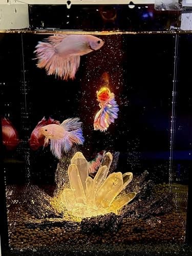 josaner-zz Small Fish Tank Decor Artificial Crystals Aquarium Betta Fish Tank Decorations Mini Crystal Ornaments Resin Accessories thumbnail 7