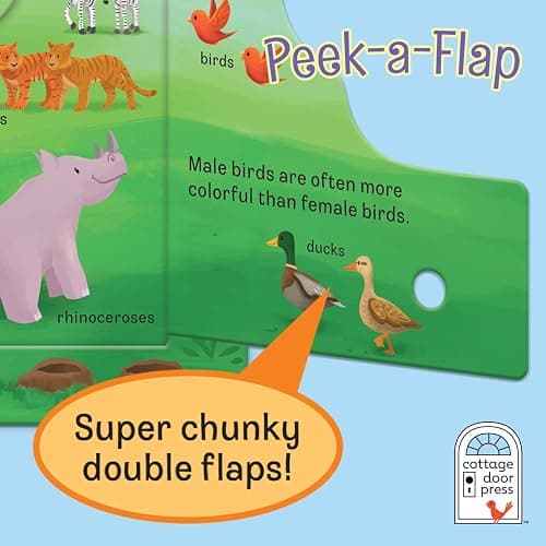 Peek-a-Flap Noah - Children's Lift-a-Flap Board Book Gift for Easter, Christmas, Communion, Baptism (Little Sunbeams) thumbnail 6