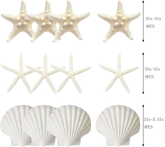 JQAQJU 3-4 Inches Large Starfish and Scallop Shells for Crafts 12PCS, Natural Beach Sea Shells for Crafting, Baking Shells Perfect for White Christmas Decor Beach Party Wedding Fishtank DIY Crafts thumbnail 3