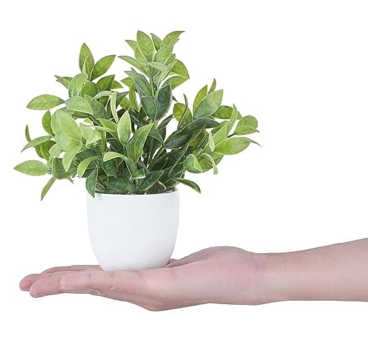 Mkono 4 Packs Fake Plants Small Artificial Potted Plant Home Decor Indoor | White, Realistic Look, Mini Size Decorative Plants for Shelf Bathroom Counter Bedroom Office Desk Table Living Room Kitchen thumbnail 7