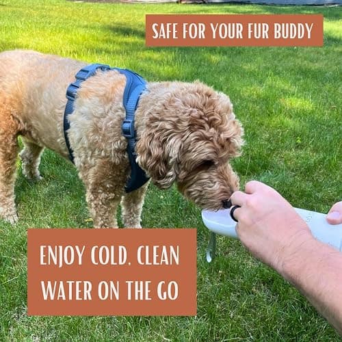 Tito's Closet Portable Dog Water Bottle, 14oz High-Grade Stainless Steel, Leakproof Design Pet Water Bottle with Treat Holder, White thumbnail 3