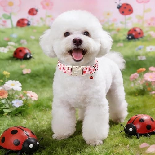 Maca Bates Pink Basic Dog Collar with Ladybug Charm for Extra Small Girl Boy Dogs, Ladybugs Pattern,Pretty Adjustable Durable Soft Collars Gift for Male Female Puppy thumbnail 2