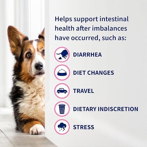 Nutramax Proviable Probiotics + Prebiotics, for Dogs & Cats, Capsules, 80ct | Probiotics and Prebiotics for Cats and Dogs, Daily Gut Health Support Supplement, Multiple Strains, Sprinkle on Food thumbnail 7