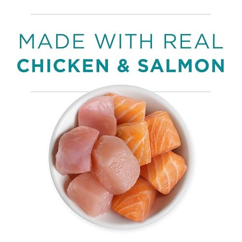 Purina ONE Grain Free, Natural Pate Wet Kitten Food, Healthy Kitten Chicken & Salmon Recipe - (Pack of 24) 3 oz. Pull-Top Cans thumbnail 4