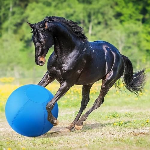 Herding Ball for Dogs and Horses - 18" Jolly Ball for Dogs, Agility Training Equipment, Herding for Australian/German Shepherd, Improved Bite-Resistant, Reinforced Sewing Dog Toys - Blue Medium thumbnail 8