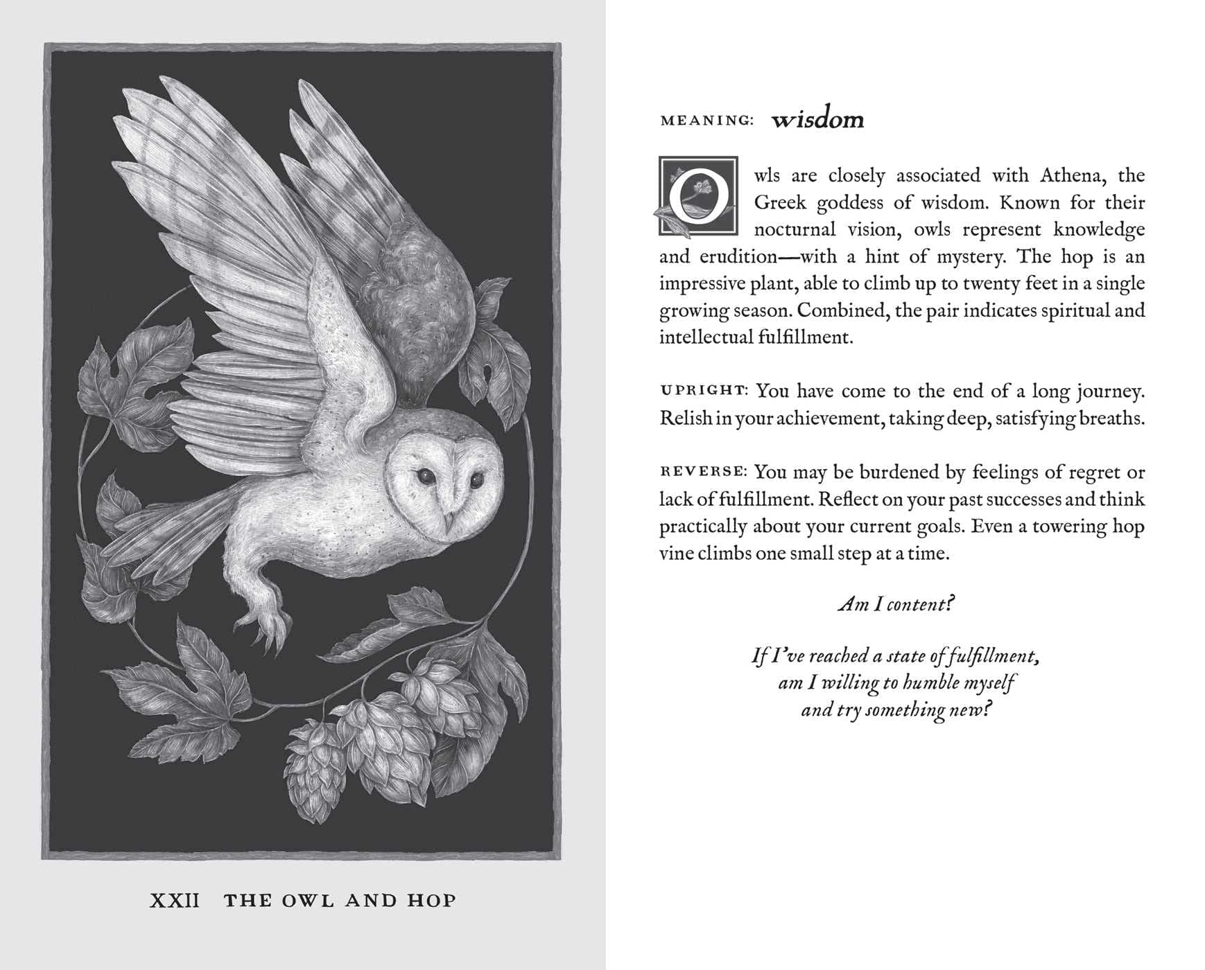 Woodland Wardens: 52-Card Oracle Deck & Guidebook thumbnail 8