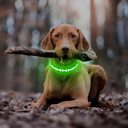 Flashseen Light Up Dog Collars, Adjustable LED Dog Collar Rechargeable, Glow in The Dark Dog Collars Super Bright Glow Collars for Night Walking for Dogs (Green, Large) thumbnail 6