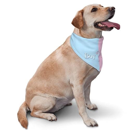 vercosee He Or She What Will It Be? Gender Reveal/Baby Announcement Dog Bandana,Pet Neckerchief for Pets Daily Wear Photo Prop Party Supplies (Blue) thumbnail 2