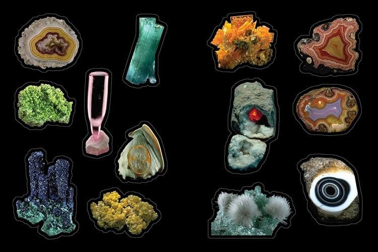 Cabinet of Curiosities: Over 1,000 Curated Stickers from the Fascinating Collections of the Smithsonian thumbnail 4