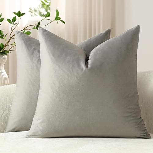 DEZENE Throw Pillow Covers 18x18 Light-Grey: Pack of 2 Cozy Soft Velvet Square Modern Luxury Decorative Throw Pillow Cases for Sofa Couch Living Room Bed Home Decor - Image 1