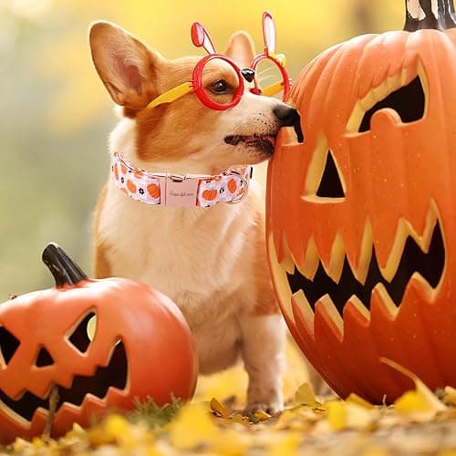 Unique style paws Dog Collar Metal Buckle Collar for Autumn Winter Christmas for Small Medium Large Boys Girls Dogs thumbnail 4