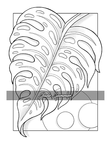 Minimalist Art: Adult Coloring Book for Women and Teens with Easy Boho Designs for Stress Relief and Relaxation (Easy Coloring Books) thumbnail 20