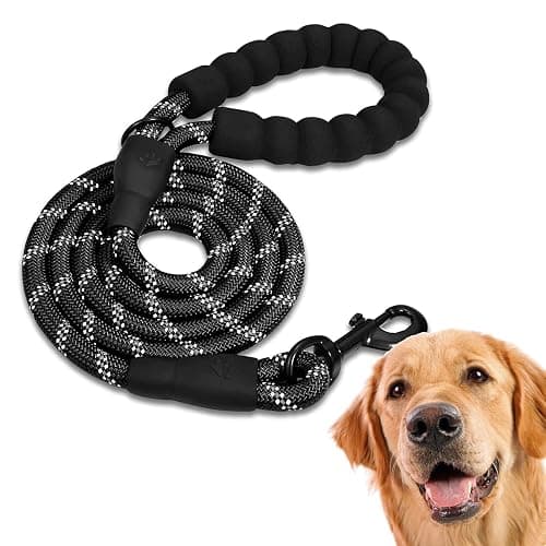 Leash - Image 1