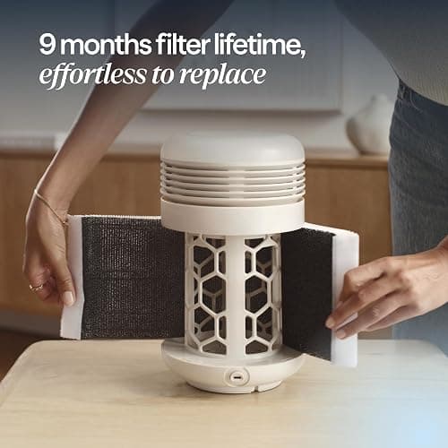BLUEAIR Air Purifier & Sunrise Alarm Clock for Bedroom, Nursery – HEPA, HEPASilent™, Wake-Up Light, White Noise & Soothing Sounds for Natural Sleep, USB-C, Mini Restful thumbnail 11