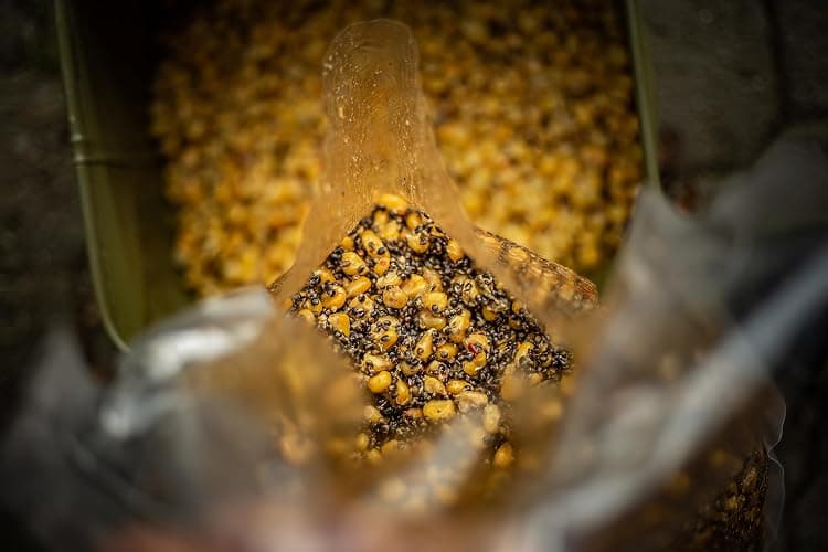 Carp Target Mix Grains cuits maïs Chanvre pour carpes - Amorce Poisson préparée - Appât - Groundbait - Nourriture Carpe pêche - Amorce Carpe - Nourriture pêche thumbnail 6