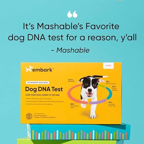 Embark Breed Identification Kit - Most Accurate Dog DNA Testing Kit - 99% Breed Ancestry Accuracy for Mixed Breed Dogs - Plus Relative Finder & Family Tree thumbnail 4