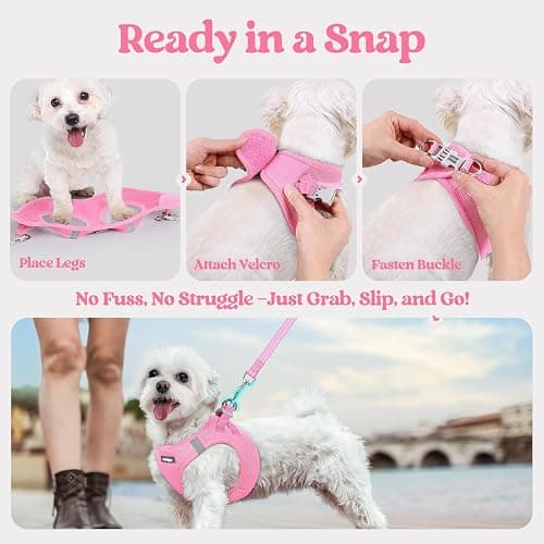 rabbitgoo Dog Harness Small Sized and Leash Set, Step-in Puppy Pet Vest | Light, Soft, Breathable Air Mesh, Easy on and Remove with Hook & Loop, Secure Reflective for Walking, Light Pink S thumbnail 8
