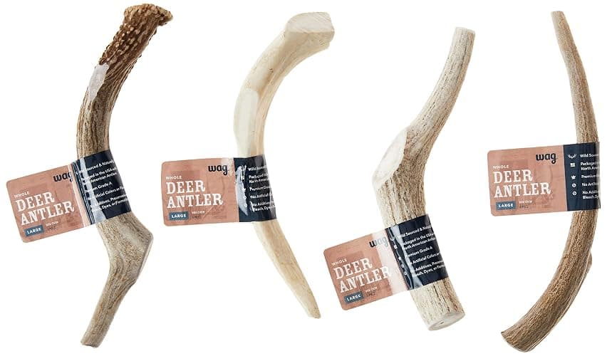 Amazon Brand - Wag Dog Deer Antler Chew, Naturally Shed, Whole, Large 8-9.5 inches, Long Lasting for Aggressive Chewers, Best for Dogs 30-45 lbs, 3.20 Ounce (Pack of 1) thumbnail 8