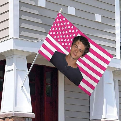 SGYFGJM Dylan O'Brien (1) 24x35 In(60x88cm Decorative Flags Double Stitched with 4 Brass Grommets Hanging Tapestry For Outdoor Indoor Room Decor College Dorm Decoration Style-2 thumbnail 4