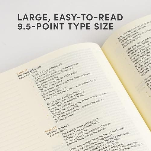CSB Notetaking Bible, Large Print Hosanna Revival Edition, Blush Cloth Over Board, Black Letter, Single-Column, Journaling Space, Reading Plan, Easy-to-Read Bible Serif Type thumbnail 3