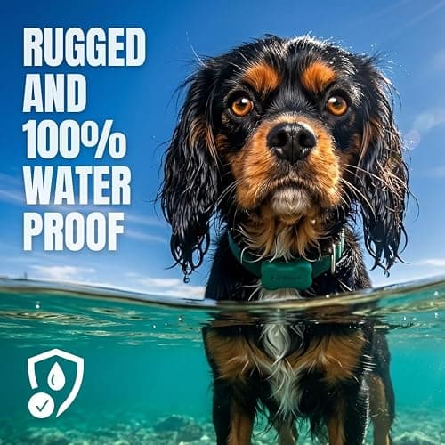FitBark 2 Dog Activity Monitor | Health & Fitness Tracker for Dogs | Waterproof, Small & Leightweight (10 g) | Not a GPS Tracker thumbnail 6