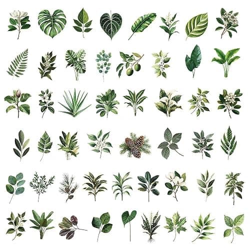 100PCS Green Plant Transparent Stickers,Potted Plant Floral Decals Stickers for Scrapbook Laptop Water Bottles Phone Guitar Decals for Kids Teens Adults (Green Plants) thumbnail 8
