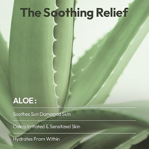 LAPCOS Aloe Sheet Mask, Daily Face Mask with Cucumber and Aloe Gel to Calm and Moisturize Skin, Korean Beauty Favorite, 5-Pack thumbnail 2
