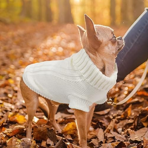 Xs Dog Clothes Dog Sweater for Small Dogs Autumn Winter Dog Sweaters Warm Puppy Clothes Turtleneck Pullover Sweater Pet Knitwear for Chihuahua Teacup Dog Yorkie (X-Small) thumbnail 7