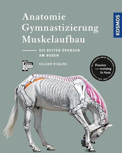 Anatomie, Gymnastizierung, Muskelaufbau: Die besten Übungen für Pferde am Boden - Image 1
