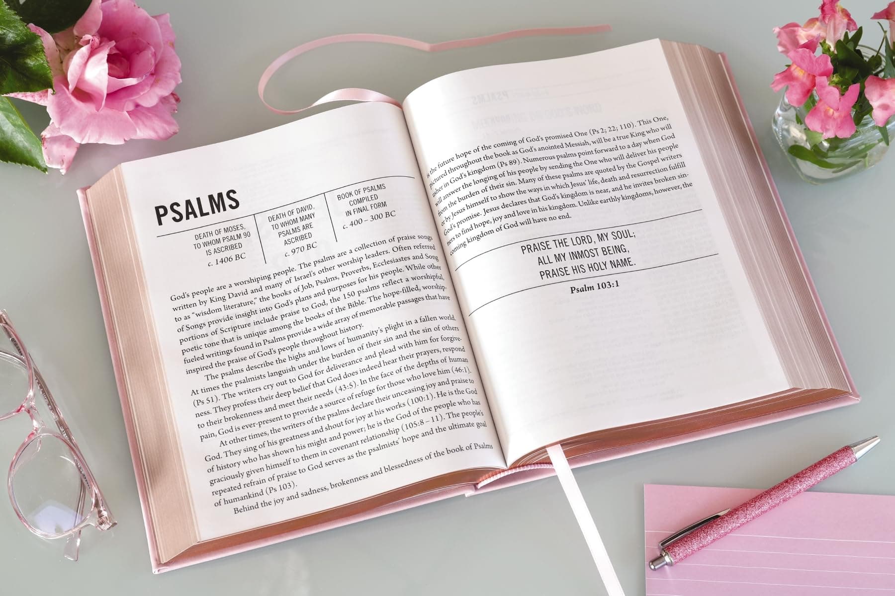 The Jesus Bible [NIV Edition, Pink] thumbnail 6