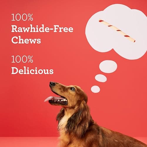 DreamBone Twist Sticks, Made With Real Chicken, Rawhide-Free Chews for Dogs, 50 Count thumbnail 4
