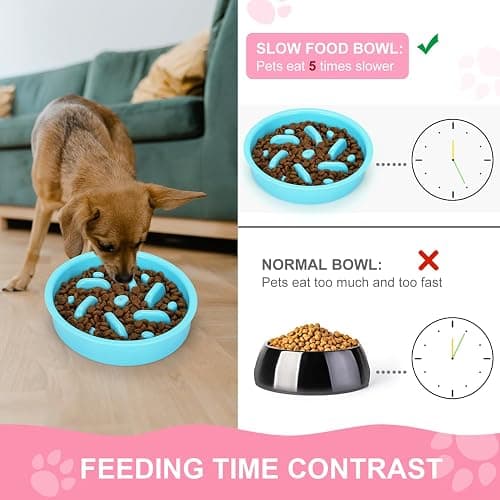 Anipaw Slow Feeder Dog Bowls 3 in 1 Stainless Steel Dog Food and Water Bowls with Non-Spill and Non-Skid Silicone Mat to Slow Down Eating for Large Medium Small Breed Size Dogs and Cats thumbnail 4
