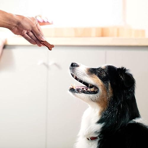 Milk-Bone Soft & Chewy Dog Treats Made with Real Bacon, 25 Ounce thumbnail 6