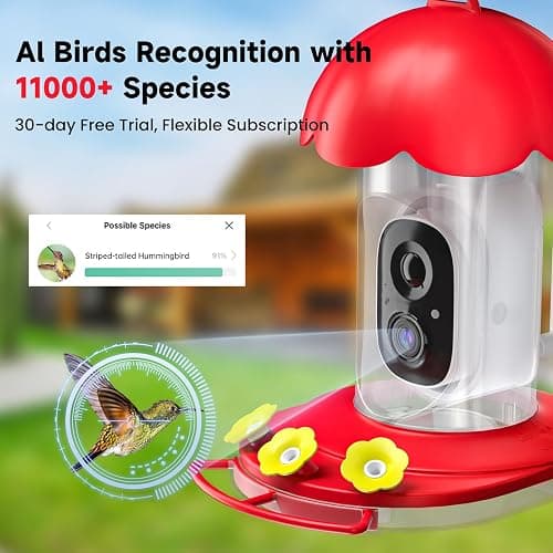 DOCOON Hummingbird Feeder with Camera Solar Powered, Hummingbird Feeders for Outdoors with 2K Bird Watching Camera, Ideal Gifts for Christmas, White Elephant Gifts thumbnail 3
