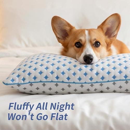 LOVELYREST Queen Pillow 1 Pack, Cooling Shredded Memory Foam Pillow | Adjustable Loft, Balanced Support, Medium Firm Feel, Side Back Stomach Sleepers, Washable Cover, Airflow Design, Easy Care thumbnail 7